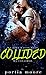 Collided (Collided #1)