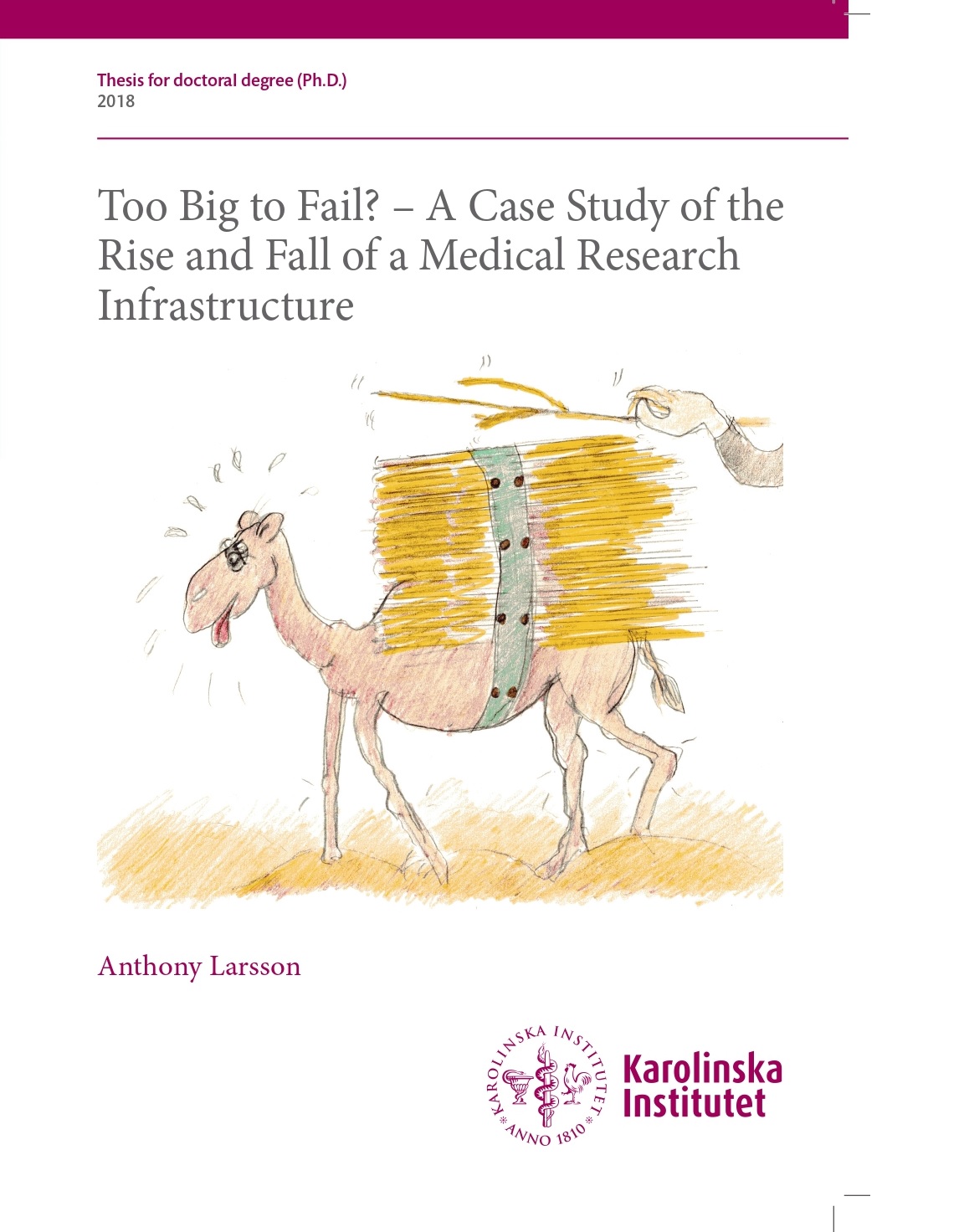 Too Big to Fail? A Case Study of the Rise and Fall of a Medical Research Infrastructure