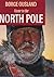 Alone to the North Pole