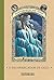 O Escorregador de Gelo (Desventuras em Série, #10) by Lemony Snicket