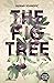 The Fig Tree