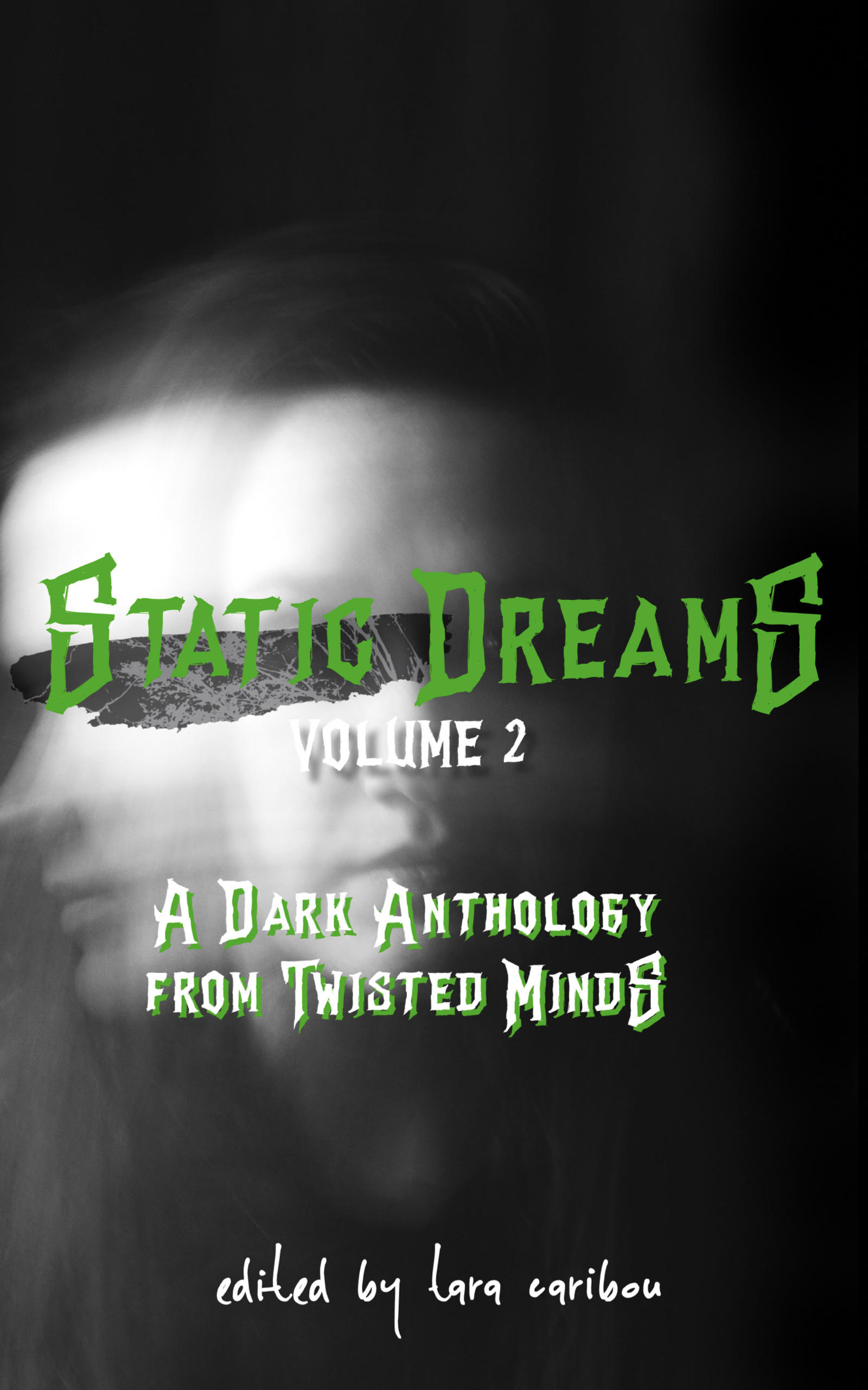 Static Dreams Volume 2: A Dark Anthology from Twisted Minds