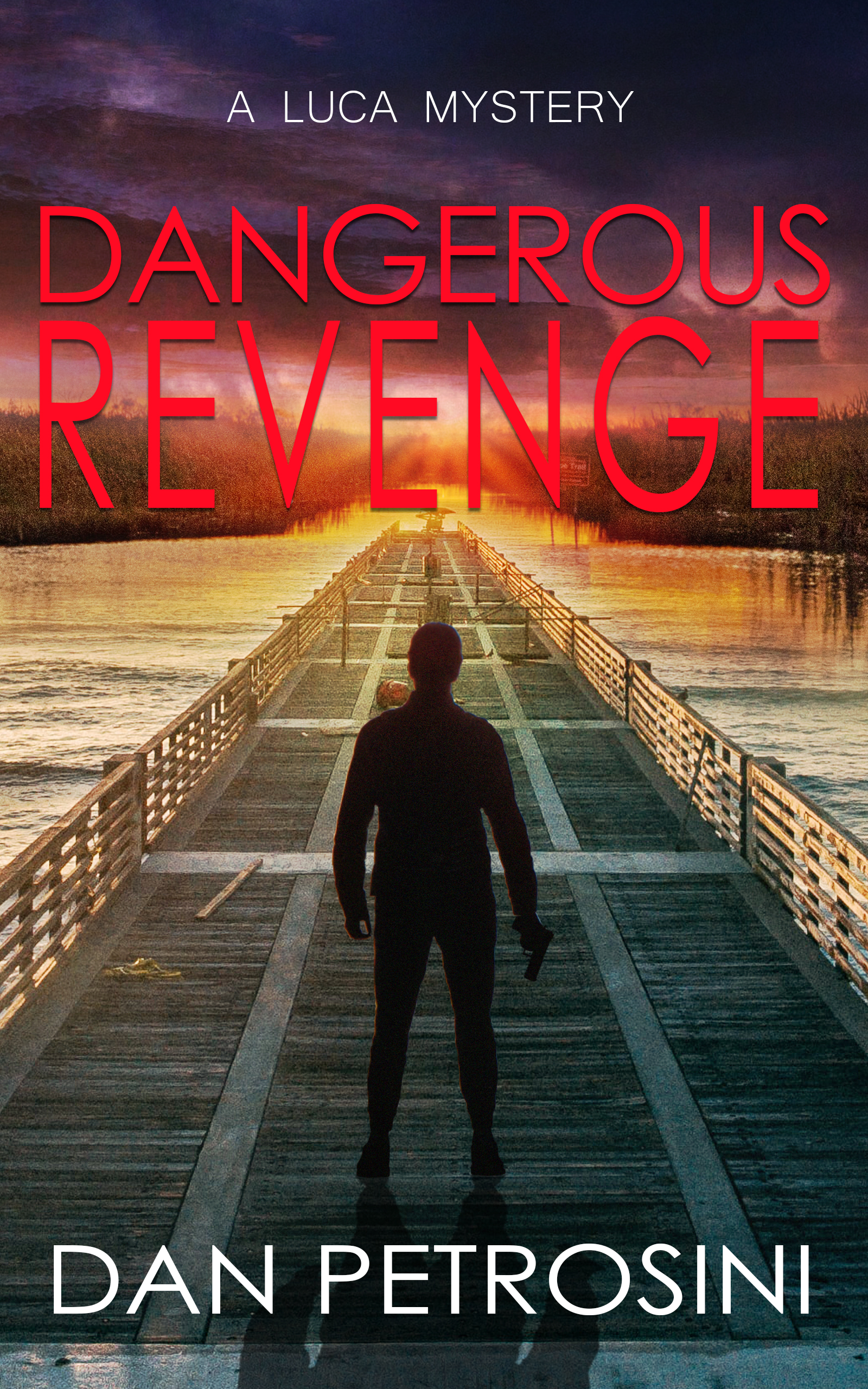 Dangerous Revenge (Kindle Edition)