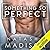 Something So Perfect (Something So, #2)