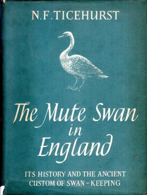 The Mute Swan in England: Its History and the Ancient Custom of Swan Keeping (Hardcover)