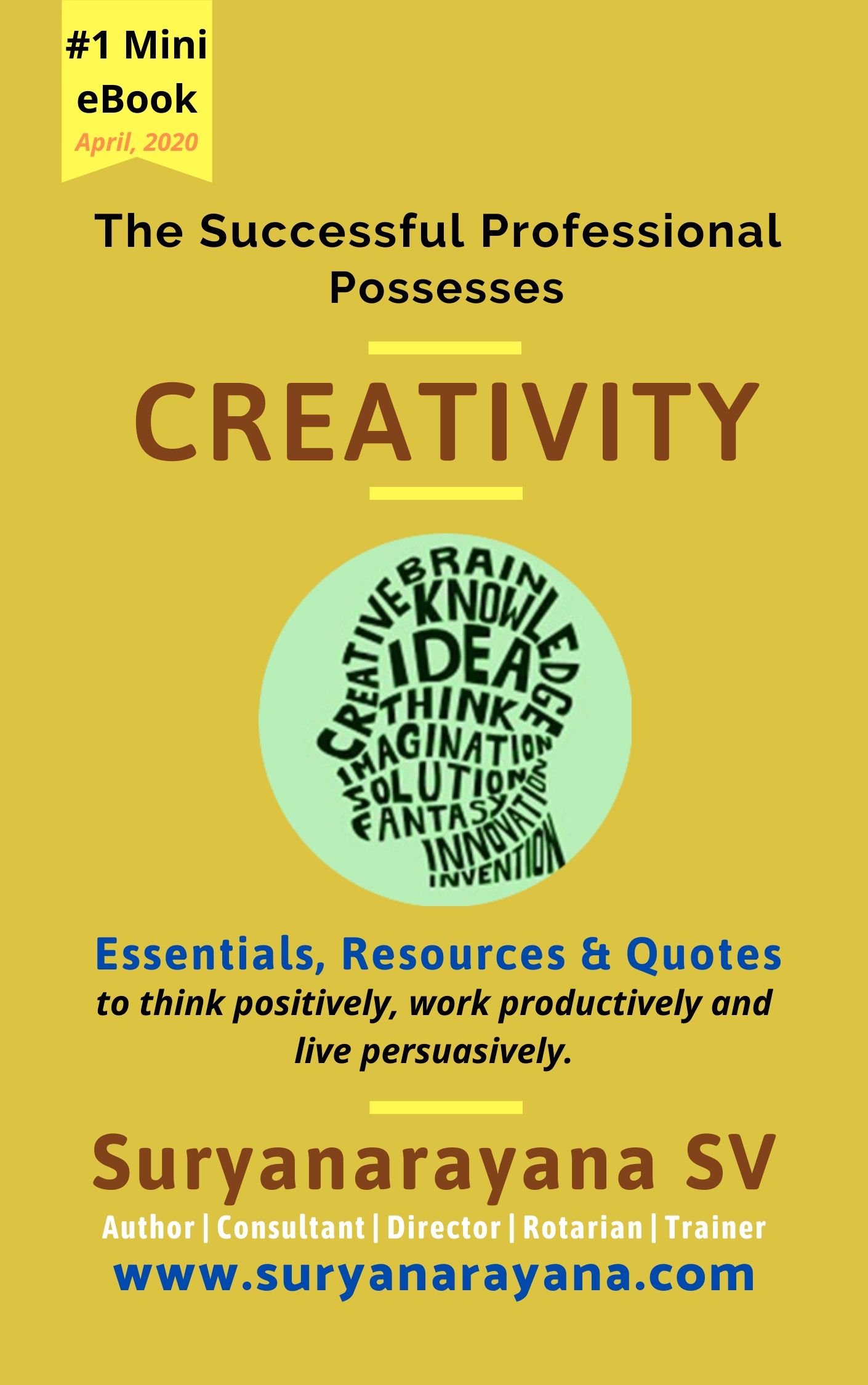 The Successful Professional Possesses CREATIVITY ( Mini ebook #1.1.)