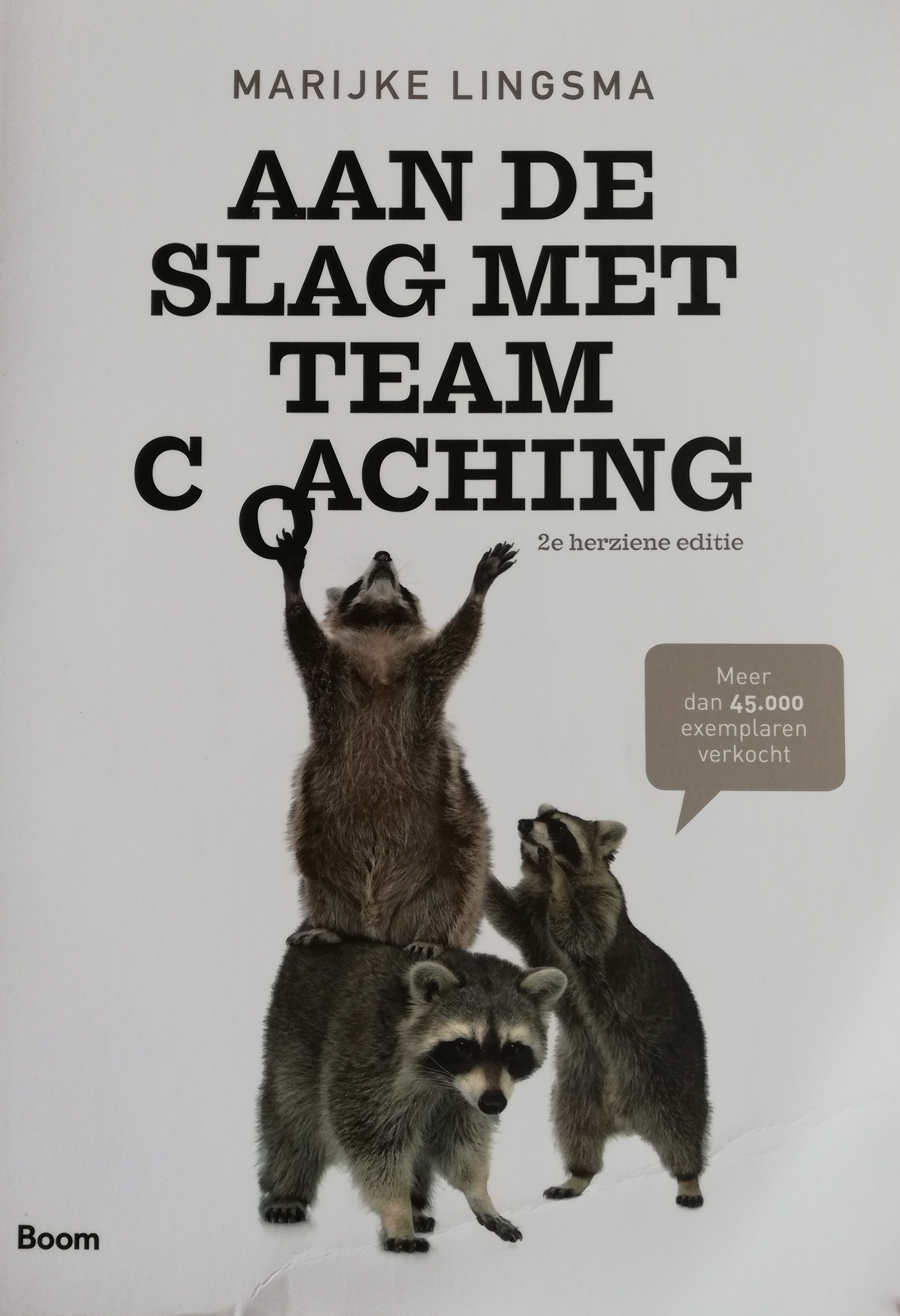 Aan de slag met teamcoaching (Paperback)