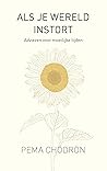 Als je wereld ins...