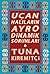 Uçan Halıların Ayrodinamik Sorunları by Tuna Kiremitçi