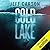 Cold Lake (David Wolf, #5)