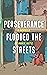 Perseverance Flooded the St...