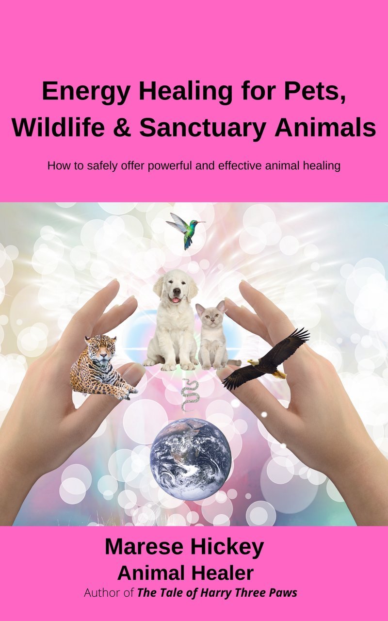 Energy Healing for Pets, Wildlife & Sanctuary Animals: How to safely offer powerful and effective animal healing
