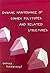 Dynamic Maintenance of Convex Polytopes and Related Structures by Otfried Schwarzkopf