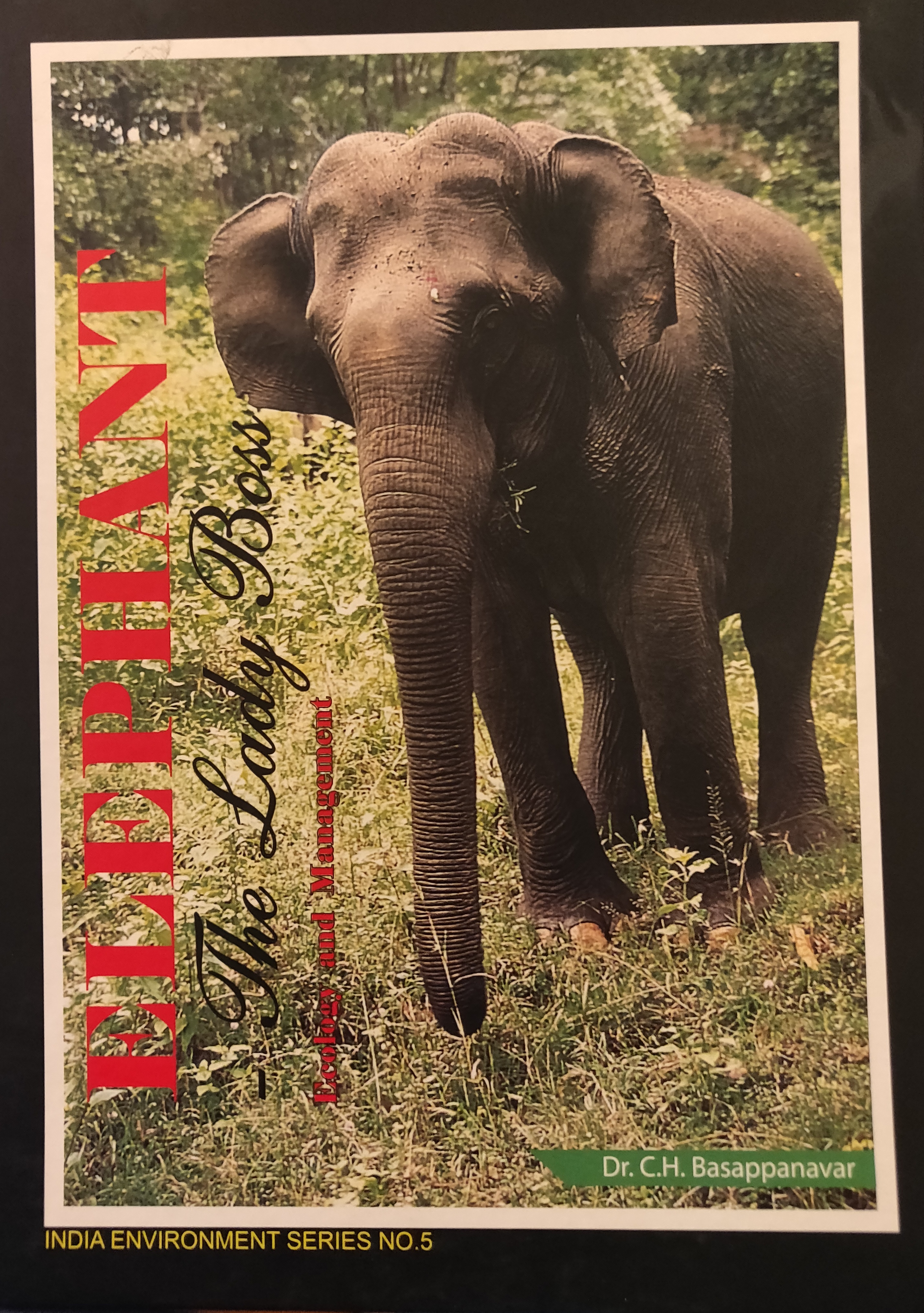 Elephant The Lady Boss, Ecology and Management