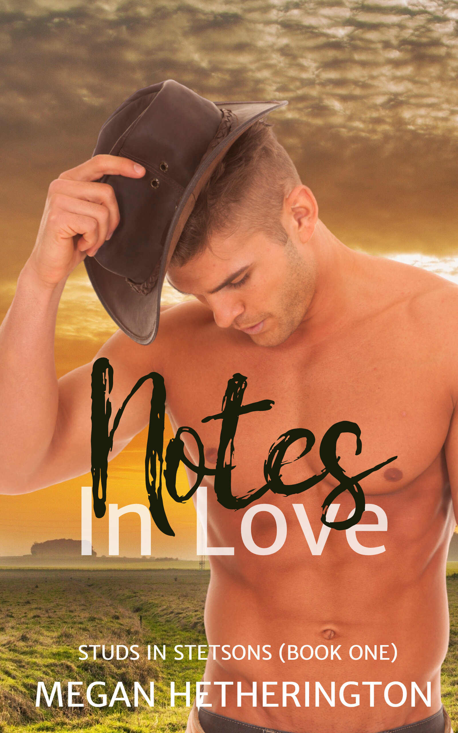 Notes in Love (Studs in Stetsons #1)