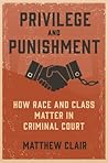 Privilege and Pun...