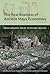 The Real Business of Ancient Maya Economies: From Farmers' Fields to Rulers' Realms