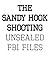 The Sandy Hook Shooting: Th...