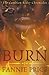 Burn (The Cambion Rider Chronicles, Book 2) by Fannie Price