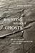 Haunting Without Ghosts: Spectral Realism in Colombian Literature, Film, and Art (Border Hispanisms)