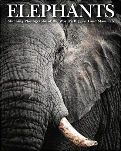 Elephants: Stunning Photographs of the World's Biggest Land Mammals (Hardcover)