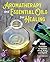 Aromatherapy and Essential Oils for Healing by Amber Robinson