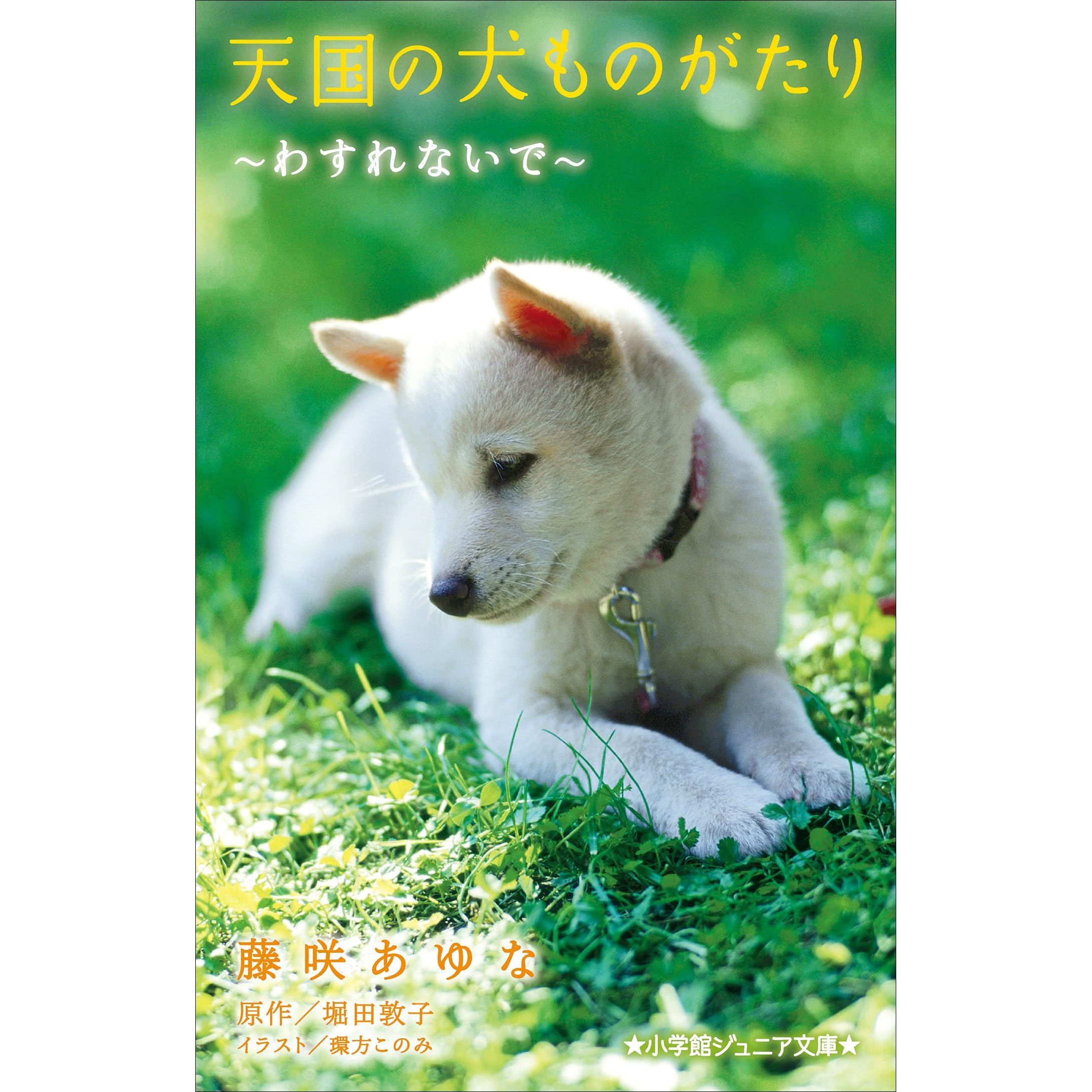 小学館ジュニア文庫 天国の犬ものがたり わすれないで By 藤咲あゆな