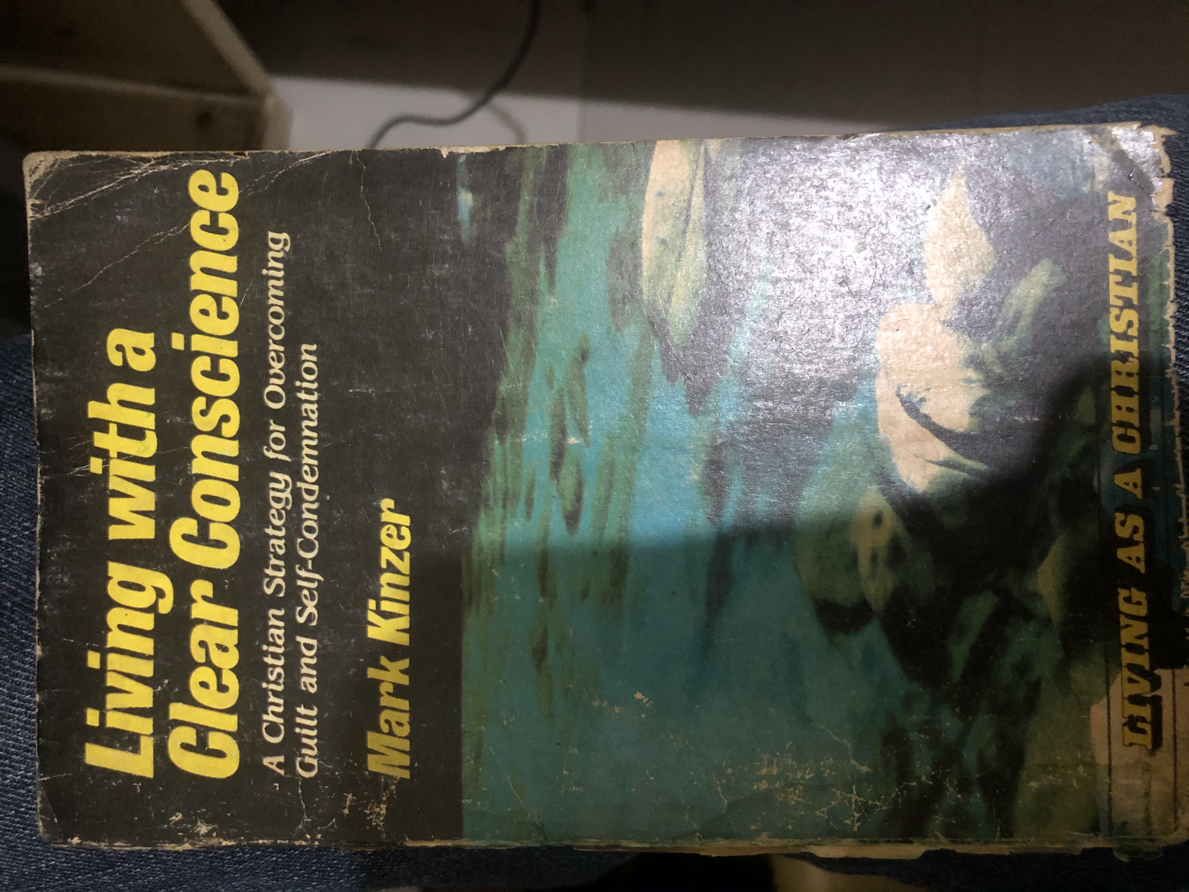 Living With a Clear Conscience: A Christian Strategy for Overcoming Guilt and Self-Condemnation