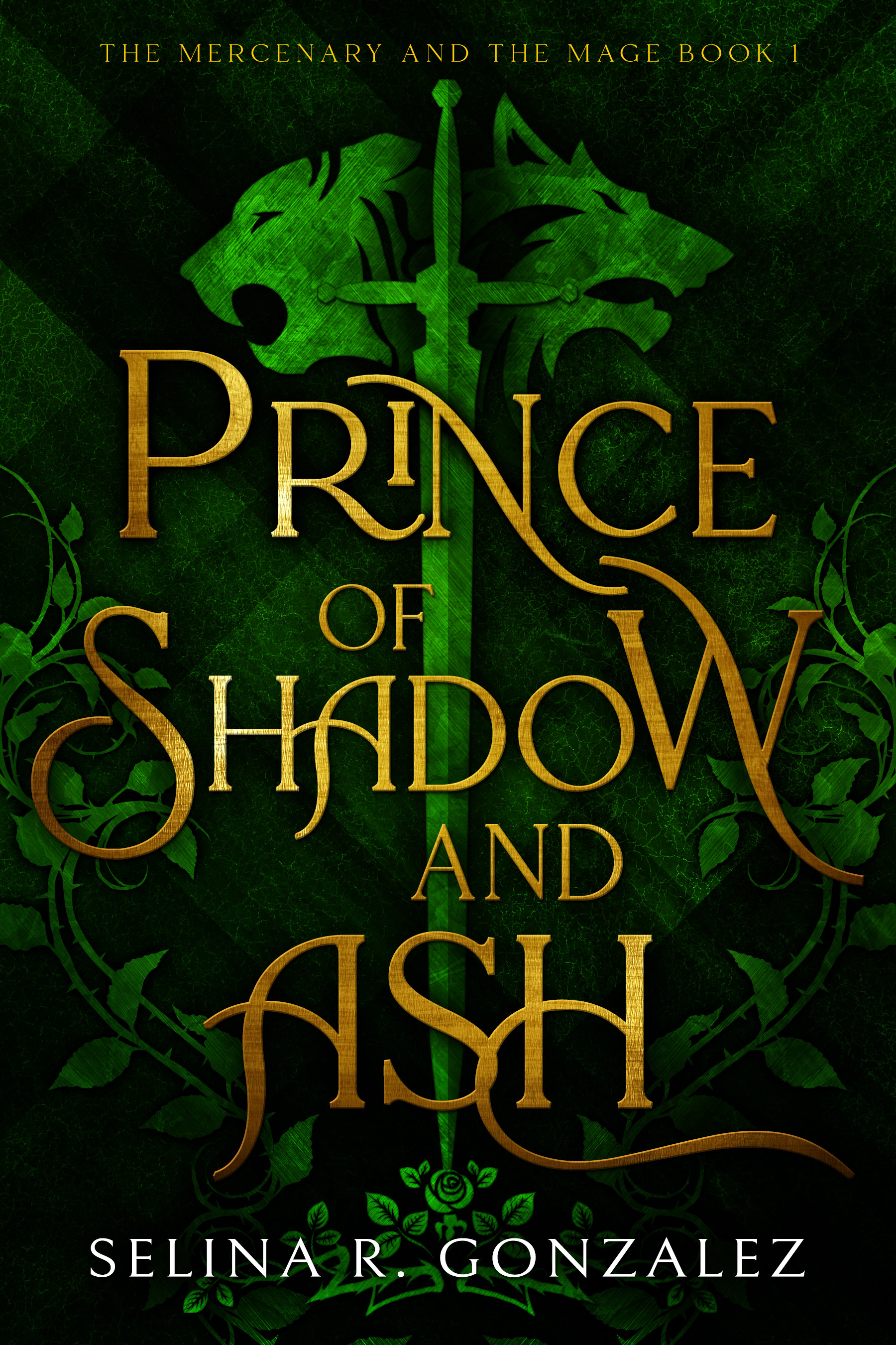 Prince of Shadow and Ash (The Mercenary and the Mage, #1)