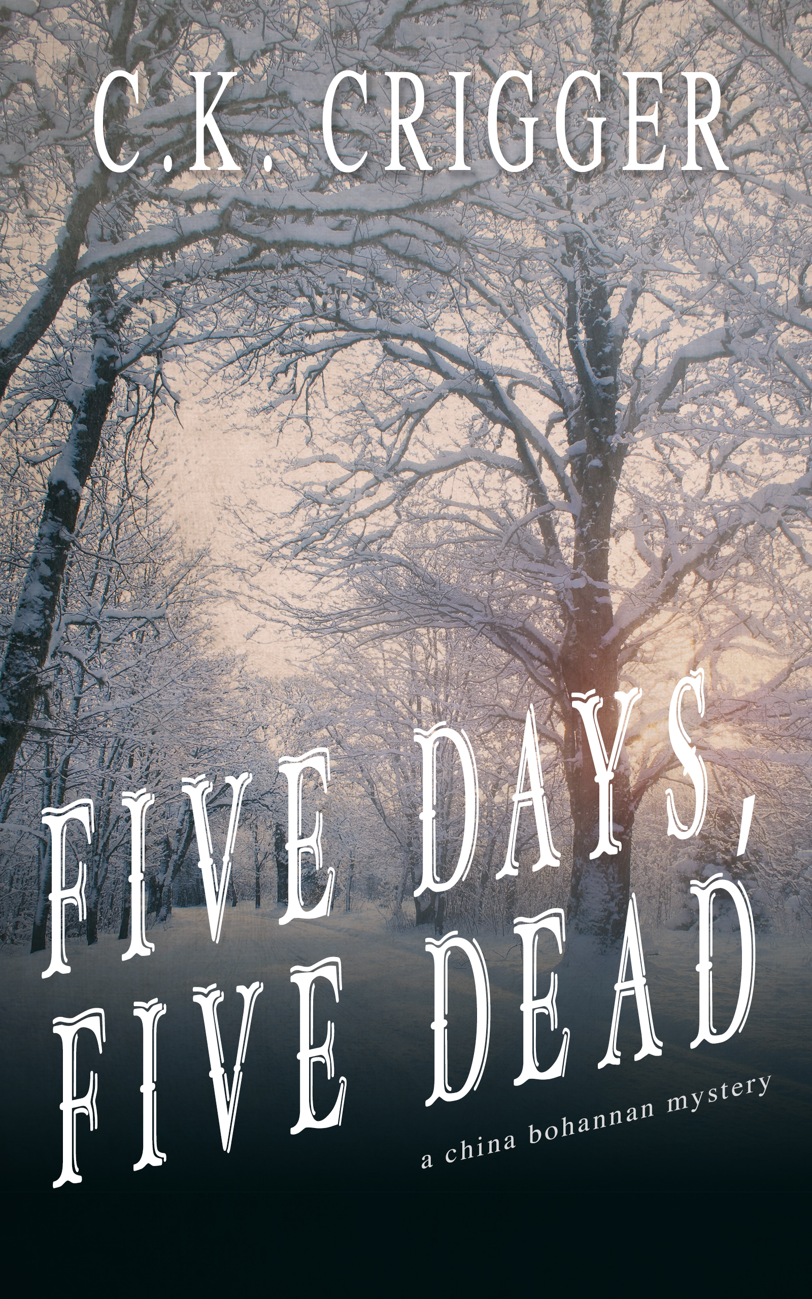Five Days, Five Dead (China Bohannon, #5)