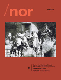 New Ohio Review Issue #6: Stories You May Have Missed