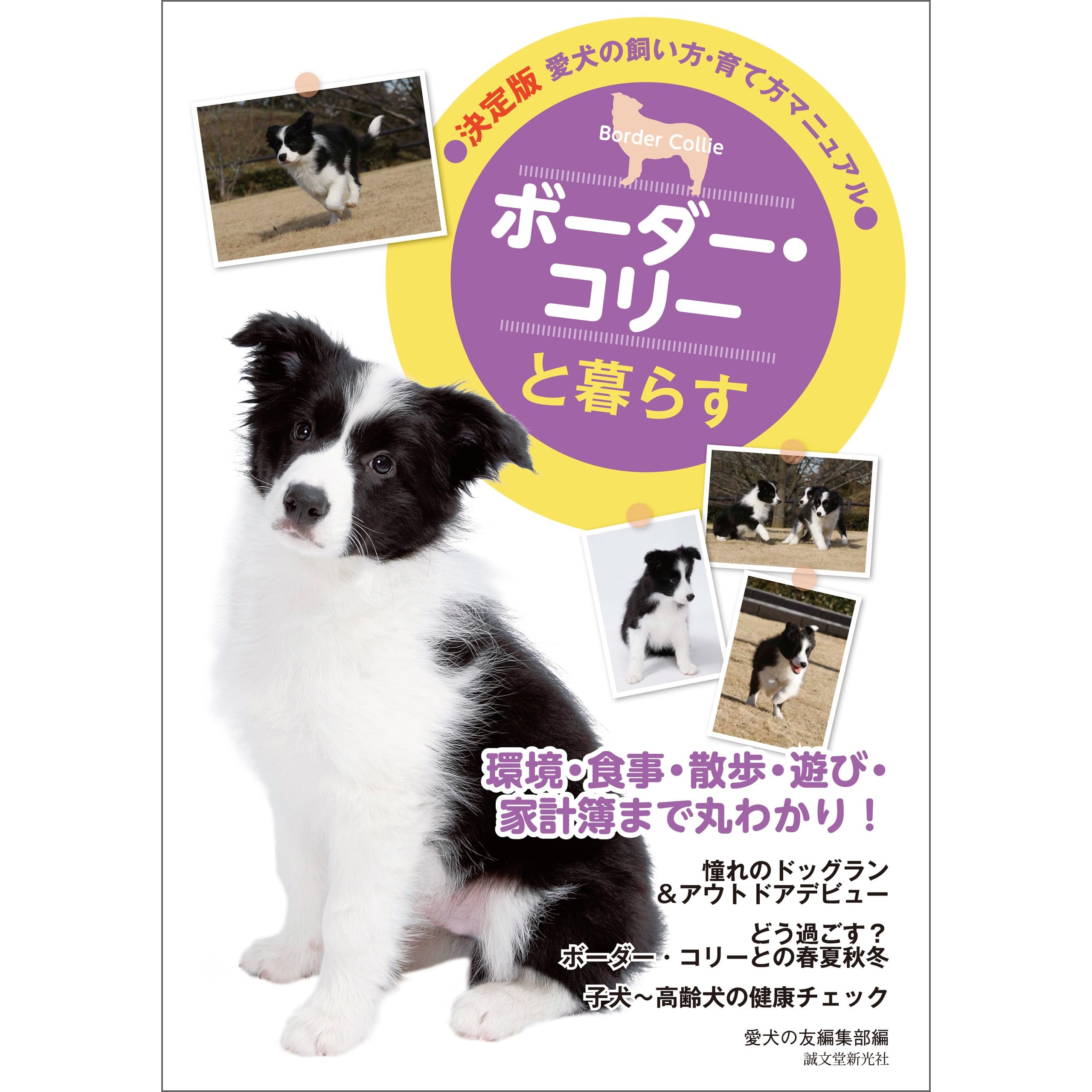 ボーダー コリーと暮らす By 愛犬の友編集部