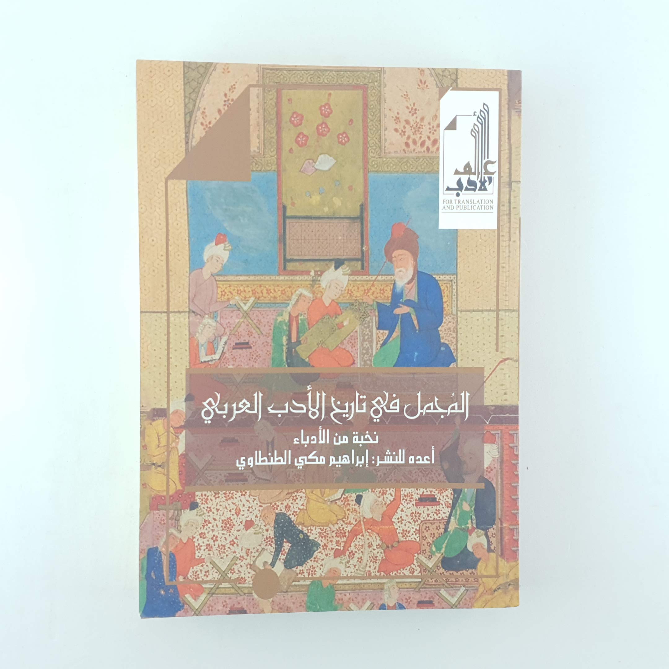 المجمل في تاريخ الأدب العربي (Paperback)