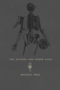 The Autopsy (ebook)