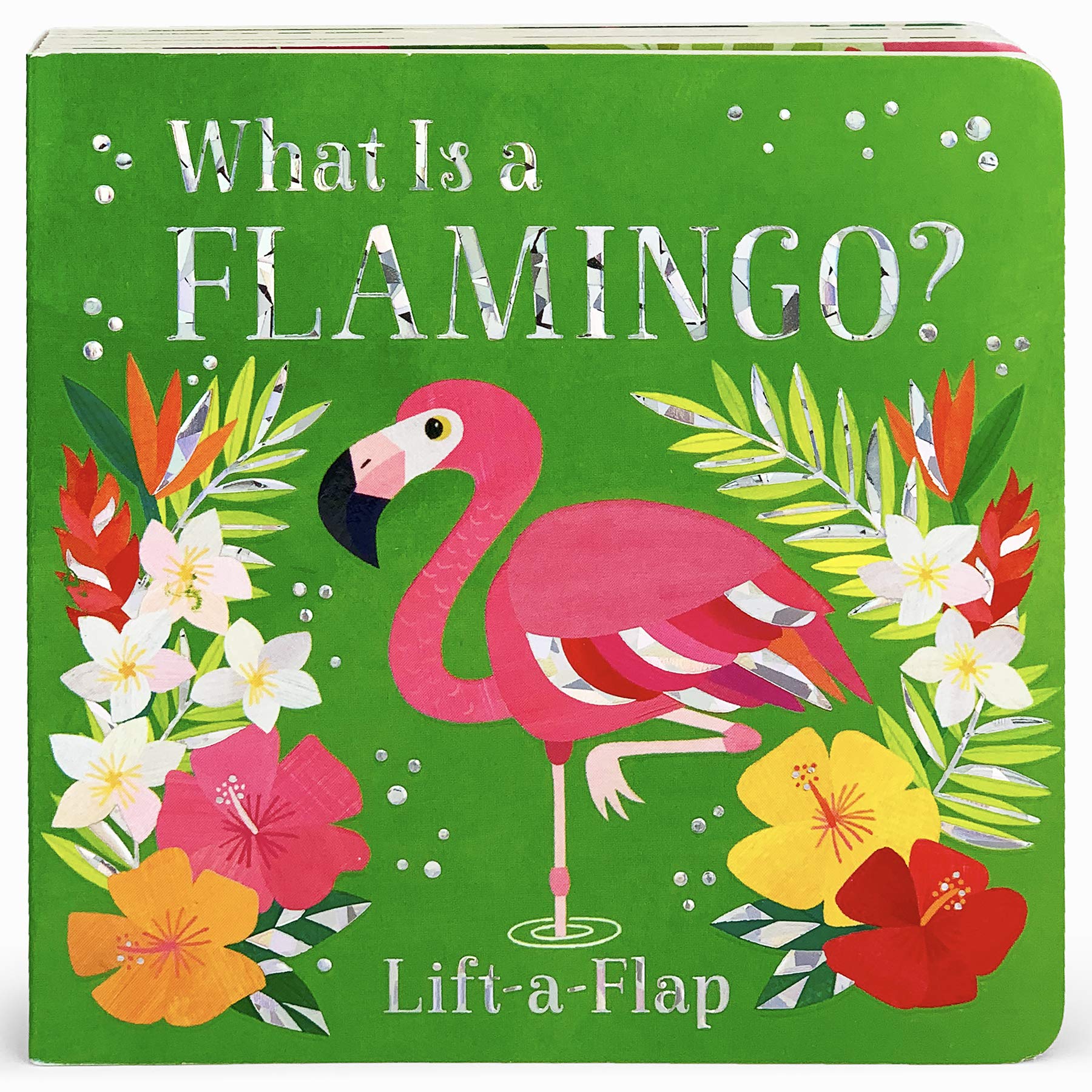 What Is a Flamingo? (Board book)