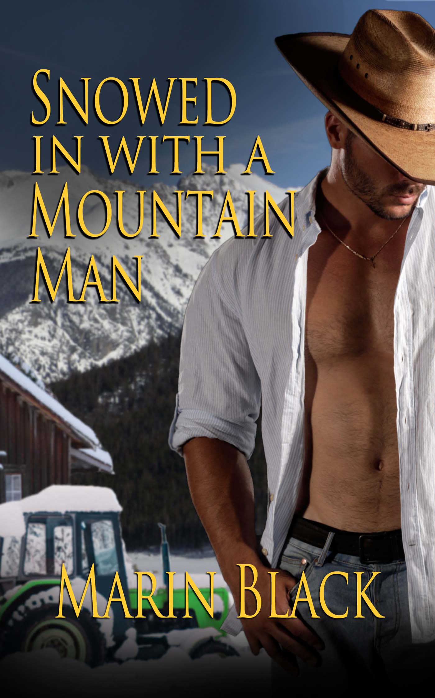 Snowed In With a Mountain Man