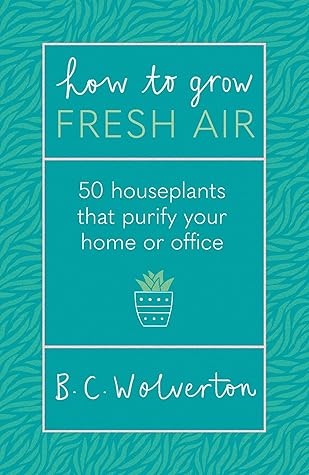 How To Grow Fresh Air: 50 Houseplants To Purify Your Home Or Office