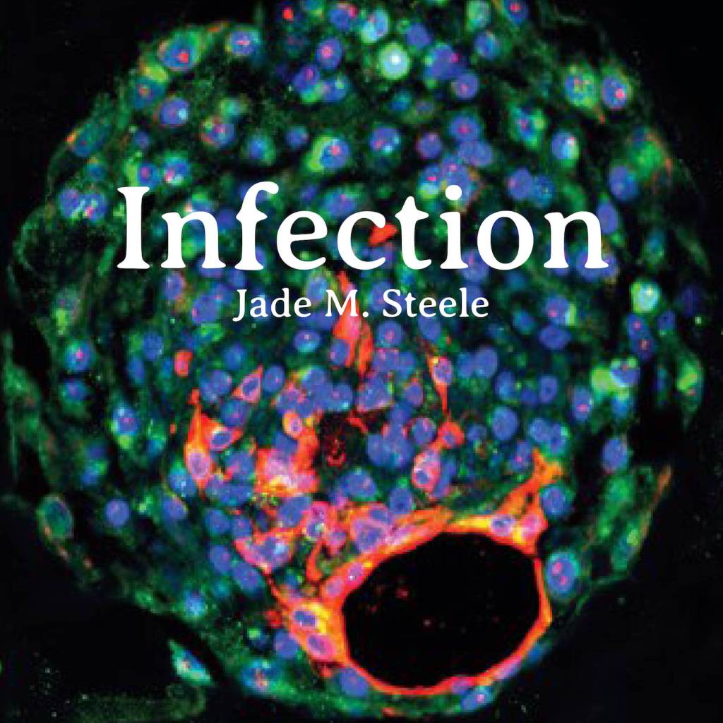 Infection (ebook)