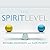 The Spirit Level: Why Great...