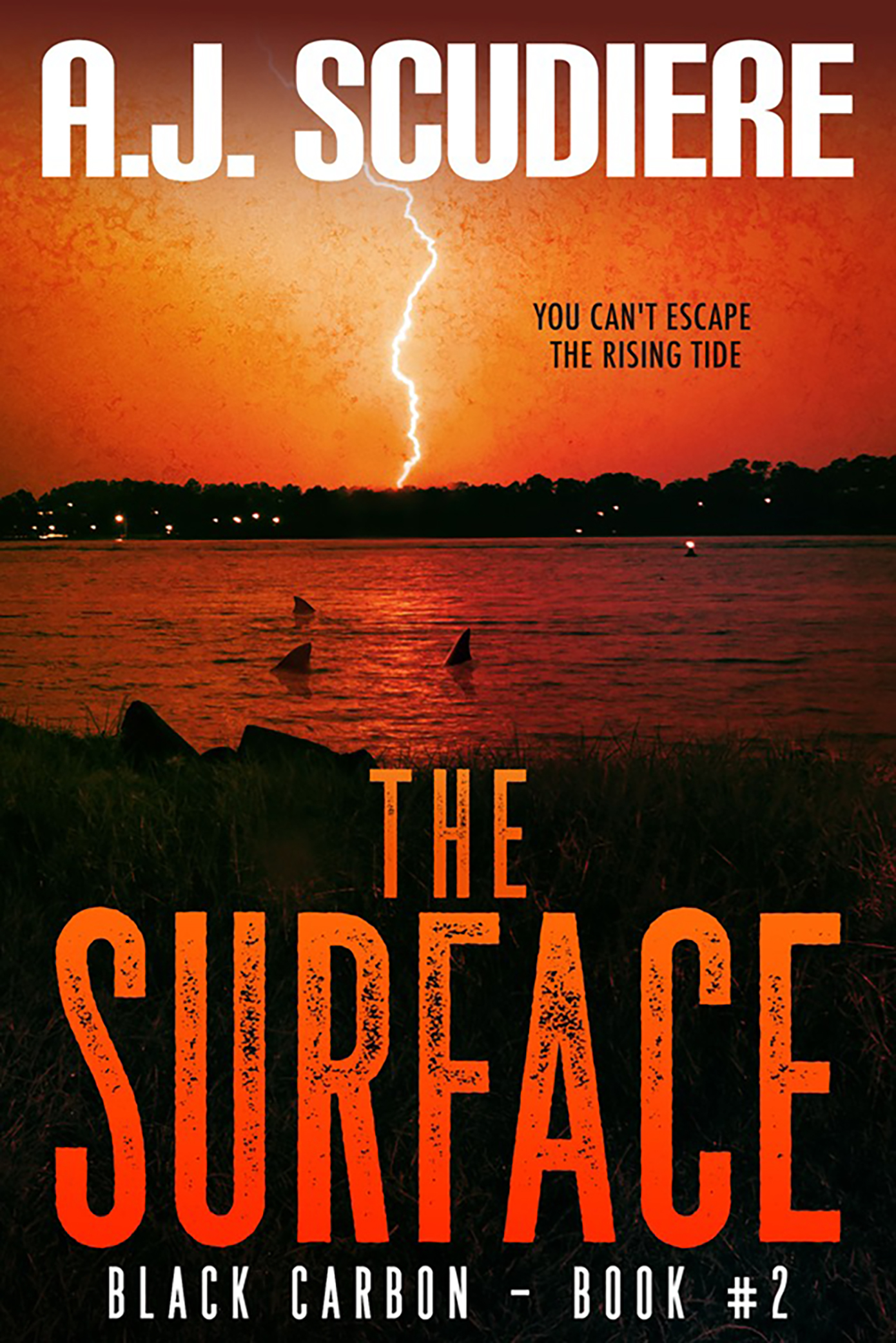 The Surface (Black Carbon #2)