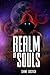 Realm of souls (book 1)