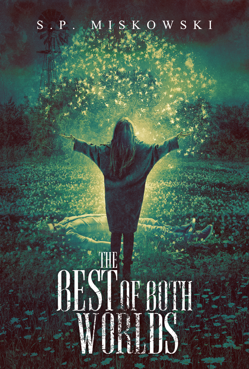 The Best of Both Worlds (Paperback)