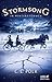 Stormsong - In Winterstürmen (The Kingston Cycle, #2)