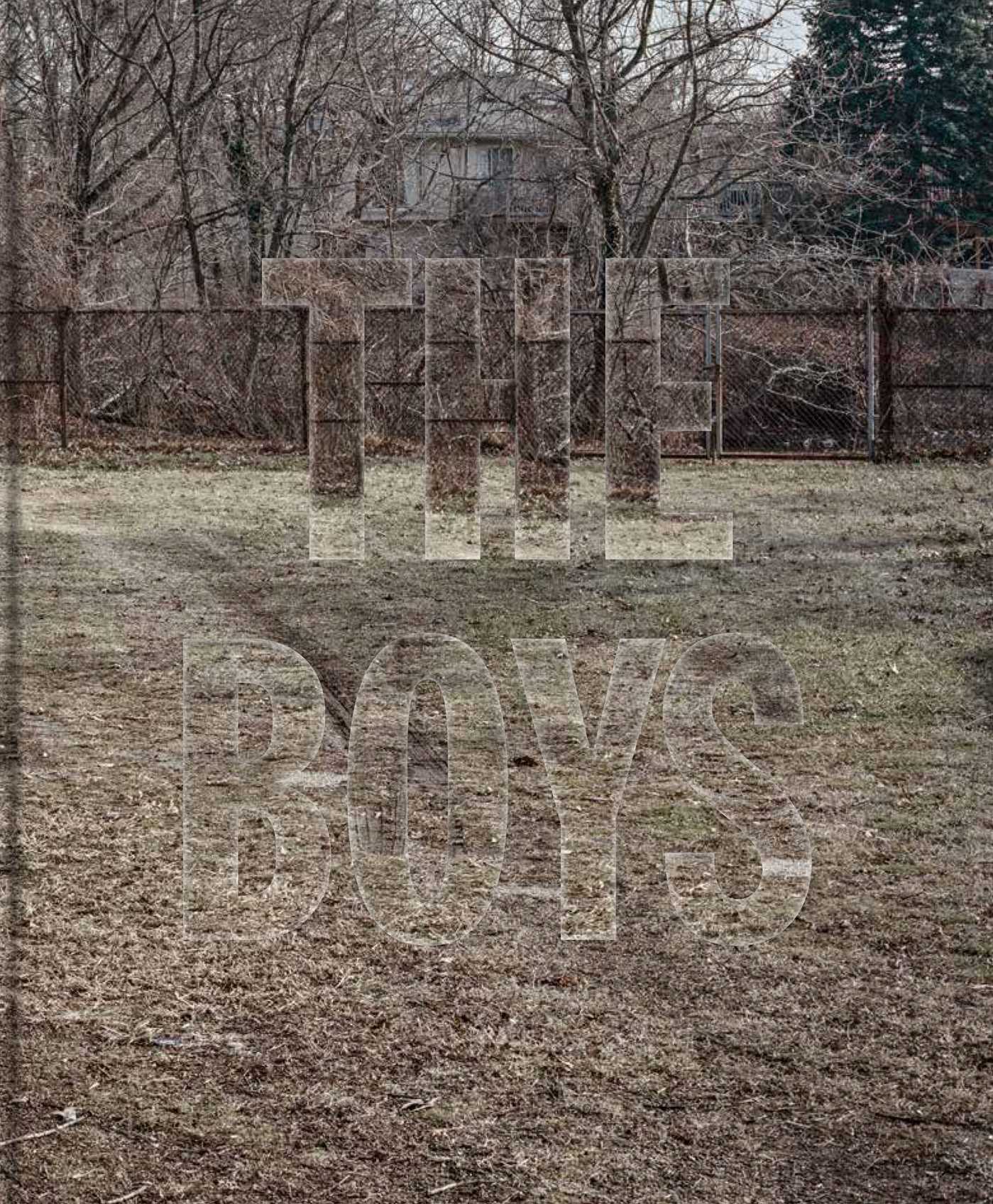 The Boys (Hardcover)