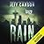 Rain (David Wolf, #11)