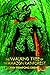 The Walking Tree of the Amazon Rainforest by Yaw Frimpong Obeng