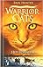 Het Zonnepad (Warrior Cats ...