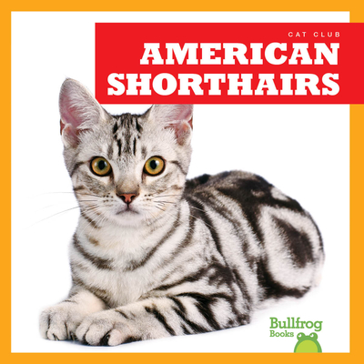 American Shorthairs (Bullfrog Books: Cat Club)
