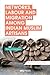Networks, Labour and Migrat...