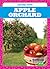 Apple Orchard (Tadpole Book...